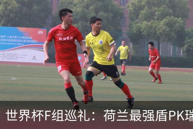 世界杯F组巡礼：荷兰最强盾PK瑞典犀利刀 日本短板明显