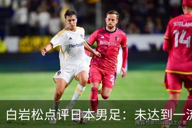 白岩松点评日本男足：未达到一流强队标准，仍需克服对荷兰的恐惧