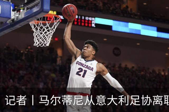 记者丨马尔蒂尼从意大利足协离职的内幕