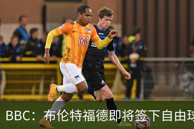 BBC：布伦特福德即将签下自由球员卡勒姆·威尔逊，预计签约1年